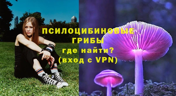прущая мука Ладушкин